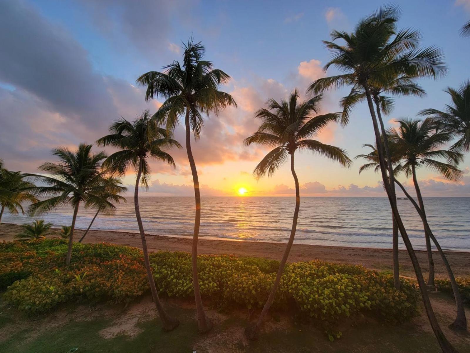 Bv103 - Amazing Oceanfront Condo Steps From Beach Humacao Extérieur photo